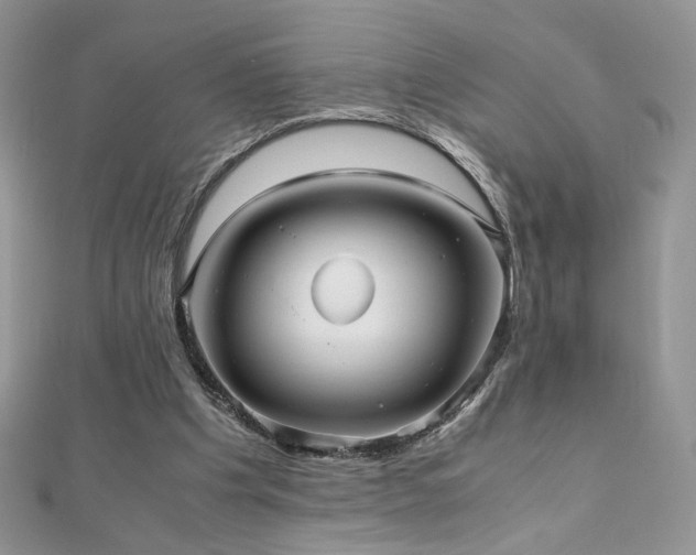 X0000110710201200906121401