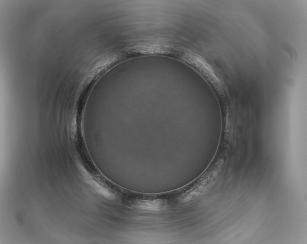 X0000110710202200906121401