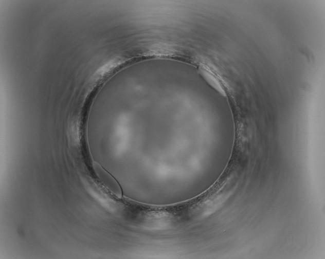 X0000110710203200906121401