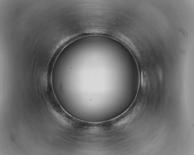 X0000110710204200906121401