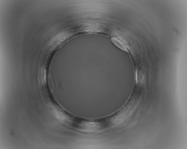 X0000110710205200906121401