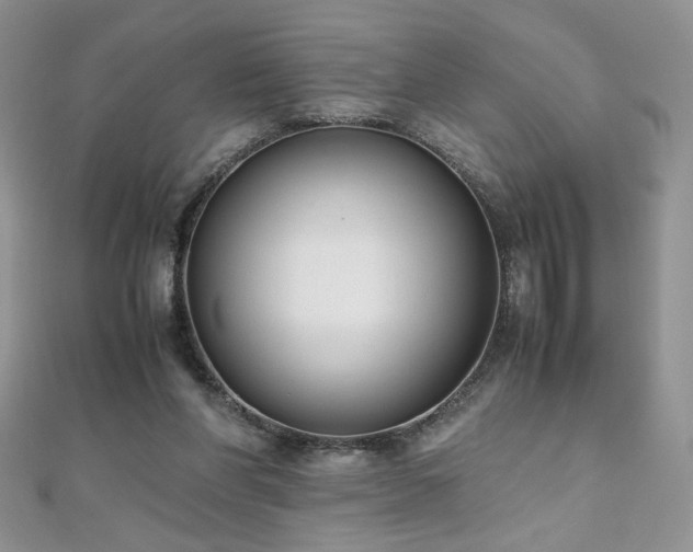 X0000110710206200906121401
