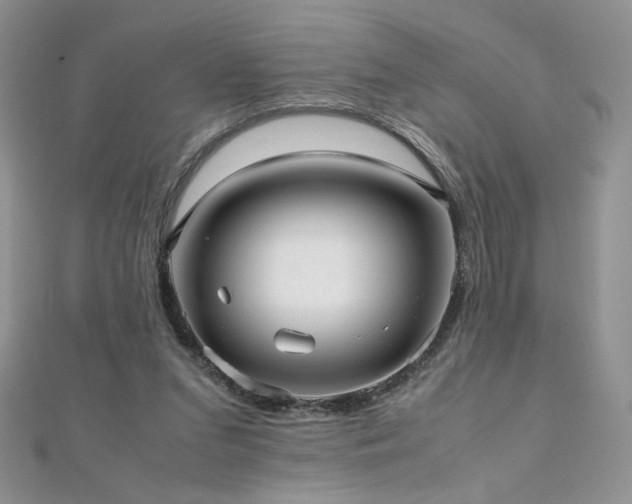 X0000110710207200906121401