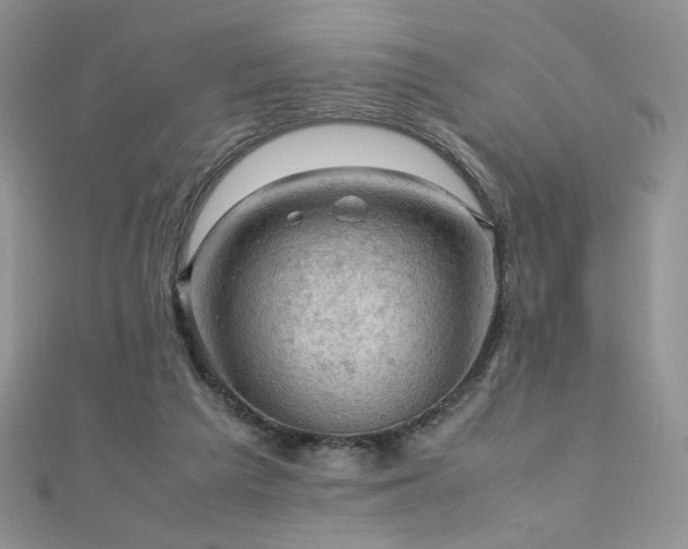 X0000110710209200906121401