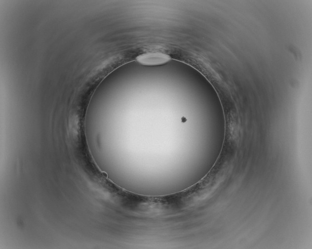 X0000110710211200906121401