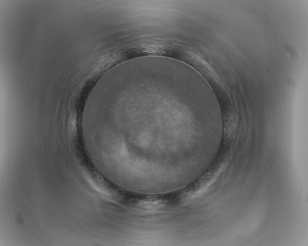 X0000110710213200906121401