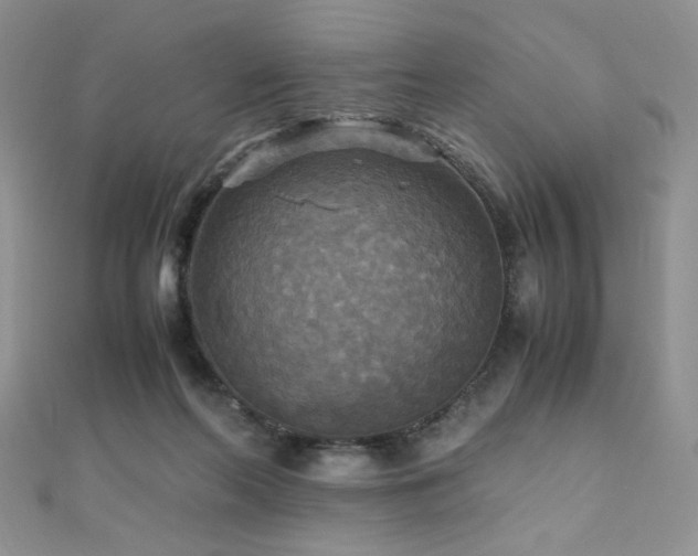 X0000110710214200906121401