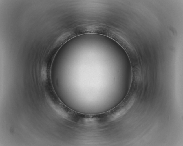 X0000110710216200906121401