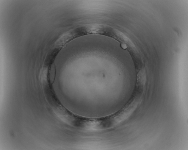X0000110710217200906121401