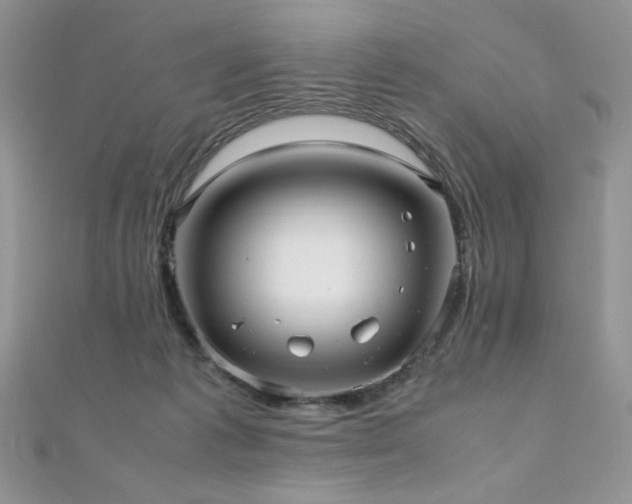 X0000110710221200906121401