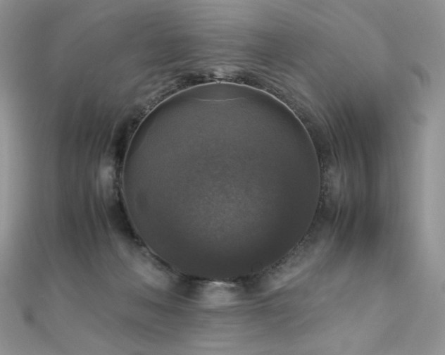 X0000110710222200906121401