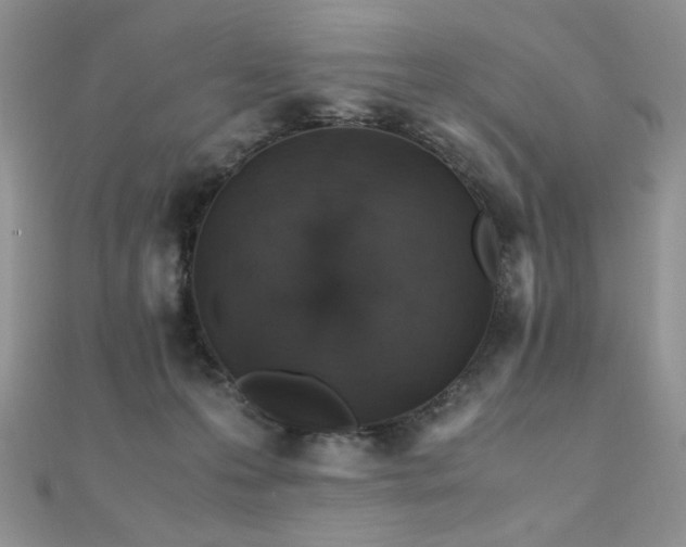 X0000110710223200906121401