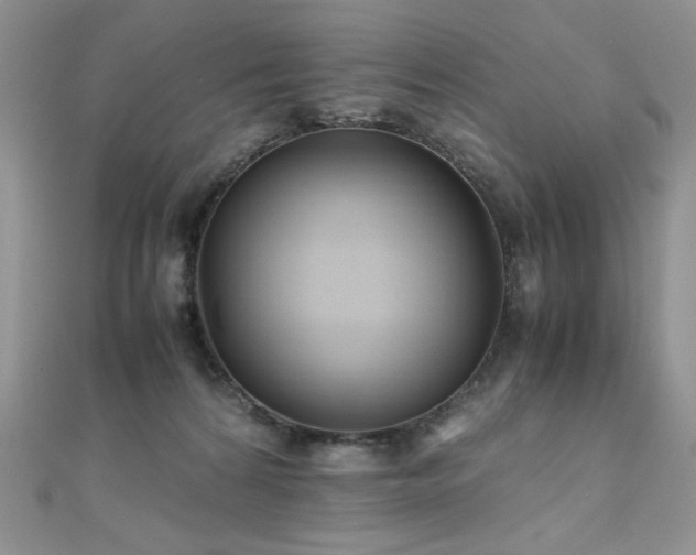 X0000110710224200906121401