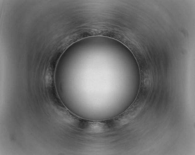 X0000110710226200906121401