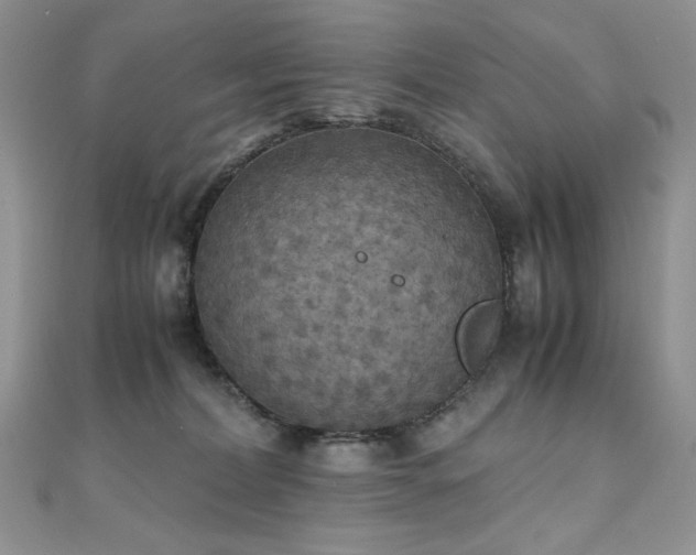 X0000110710228200906121401