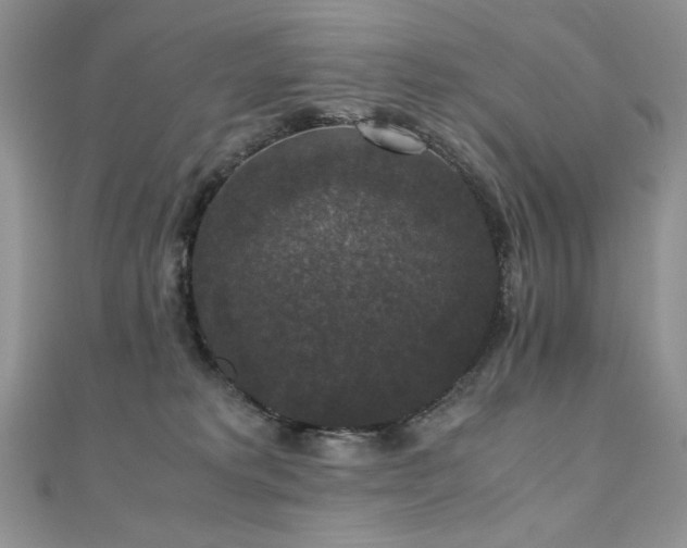X0000110710229200906121401