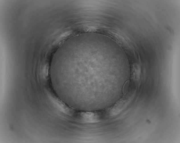 X0000110710230200906121401