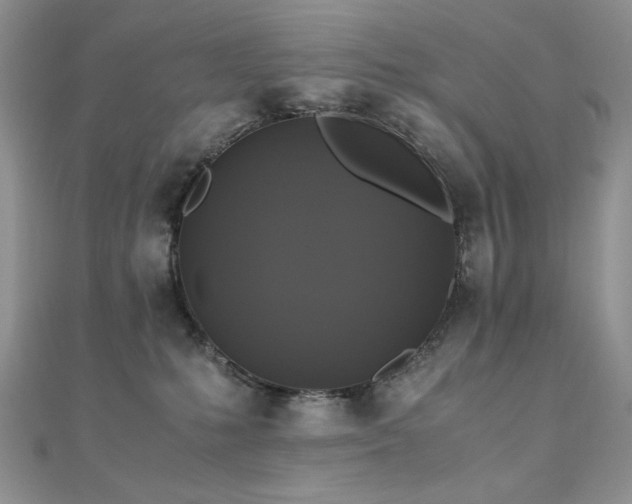 X0000110710231200906121401