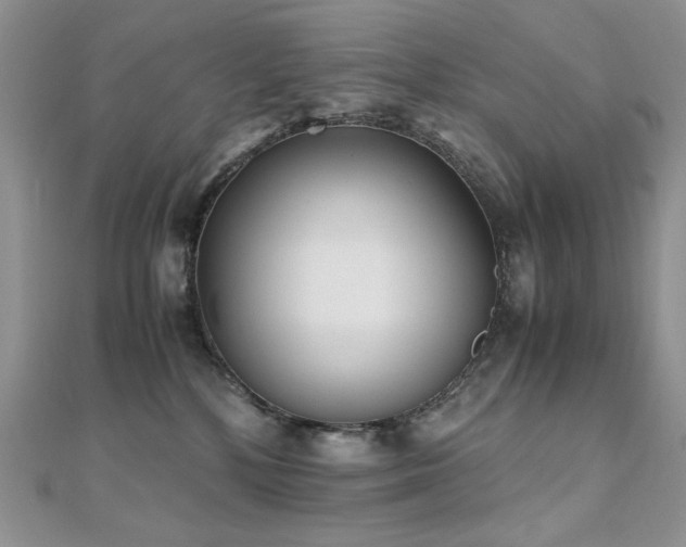 X0000110710232200906121401