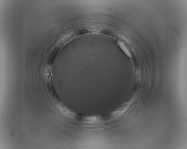 X0000110710237200906121401