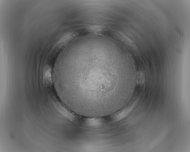 X0000110710238200906121401