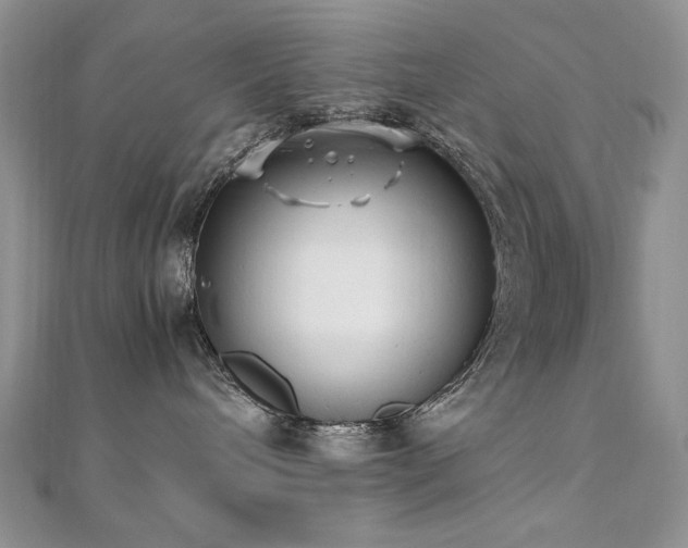 X0000110710240200906121401