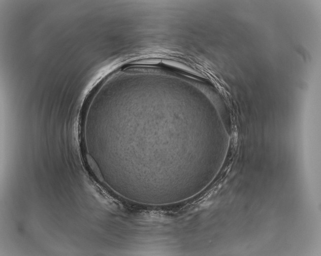 X0000110710244200906121400