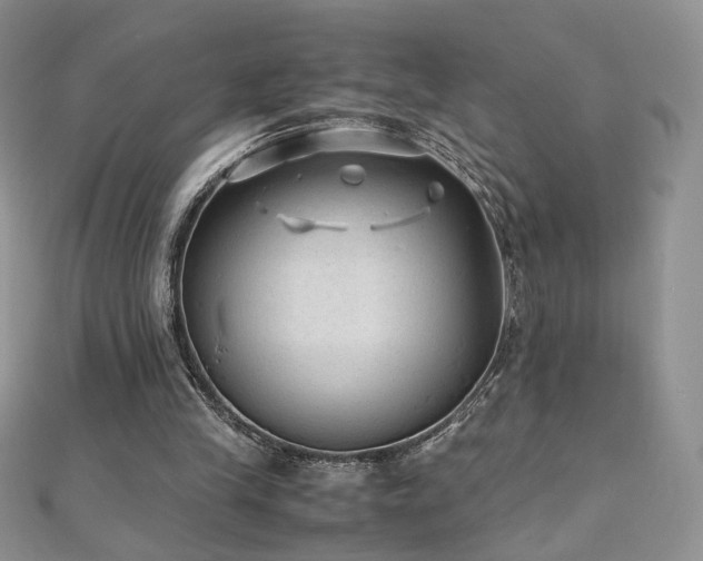 X0000110710245200906121400
