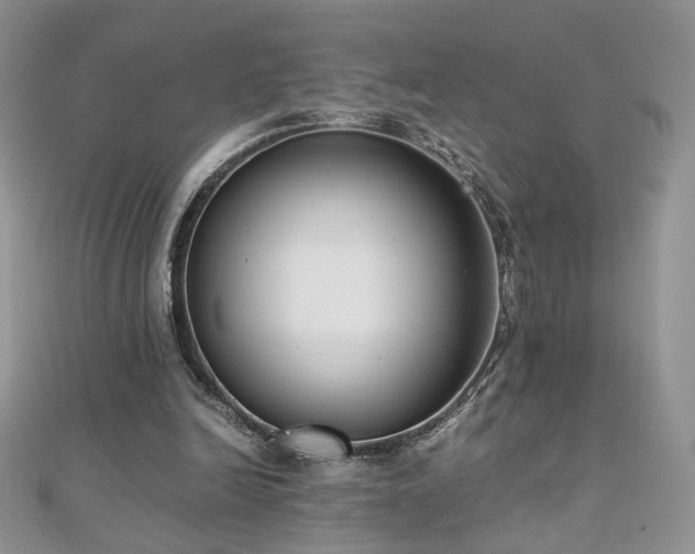 X0000110710246200906121400