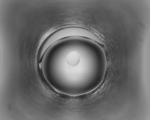 X0000110710248200906121400