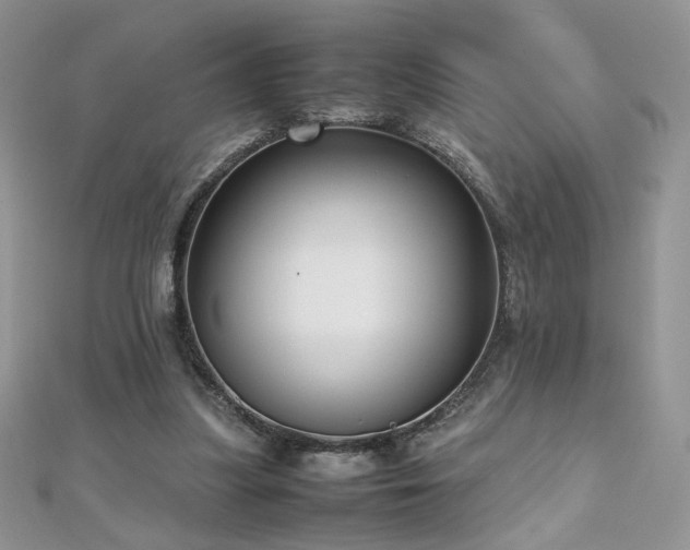 X0000110710251200906121400