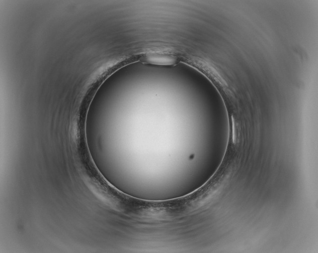 X0000110710252200906121400
