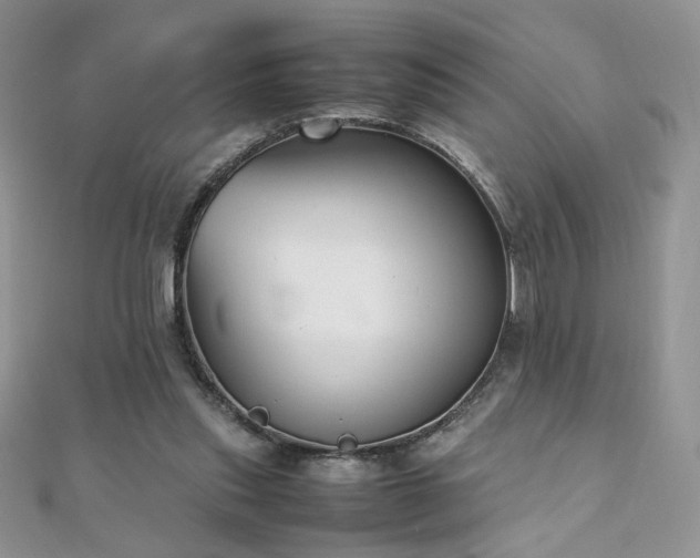 X0000110710253200906121400