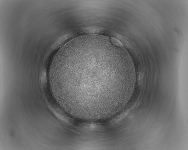 X0000110710254200906121400