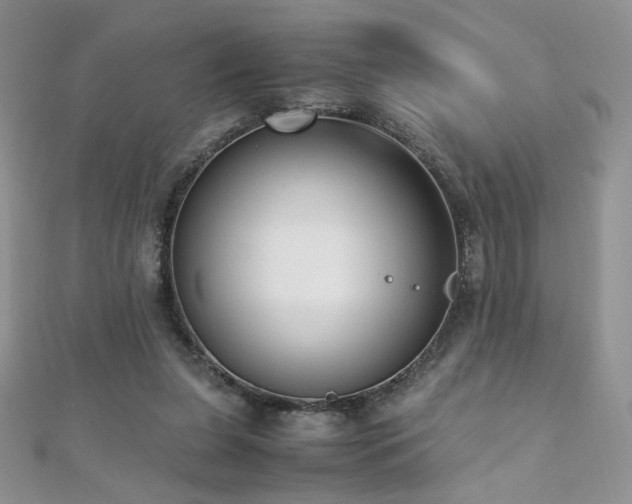 X0000110710255200906121400