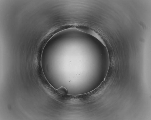 X0000110710256200906121400