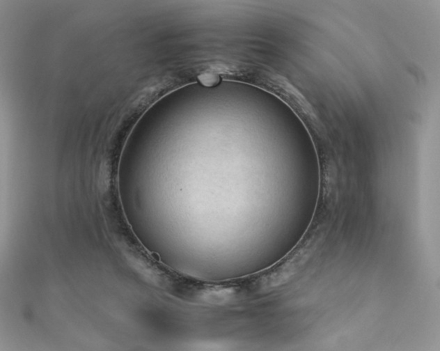 X0000110710257200906121400