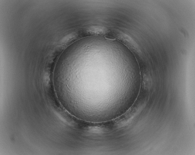 X0000110710259200906121400