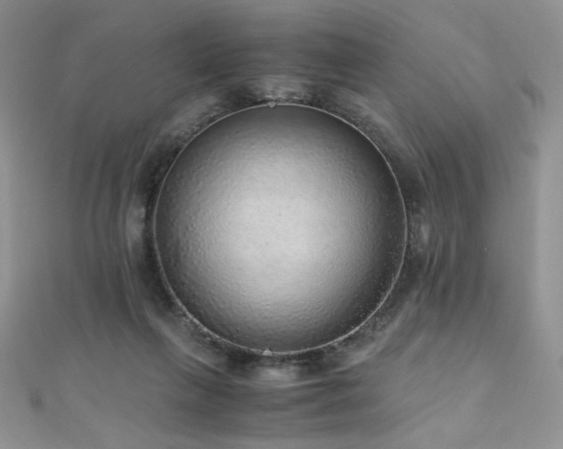 X0000110710263200906121400