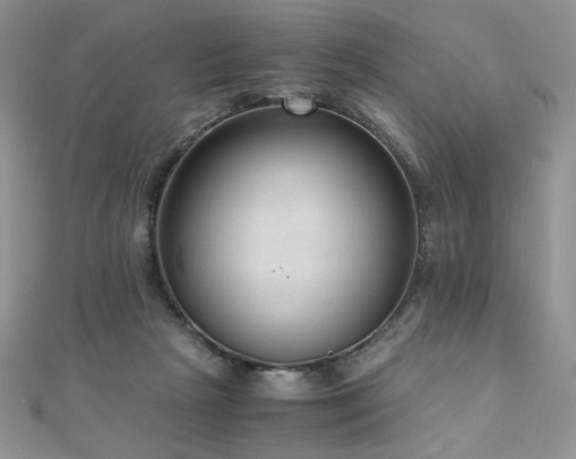 X0000110710265200906121400