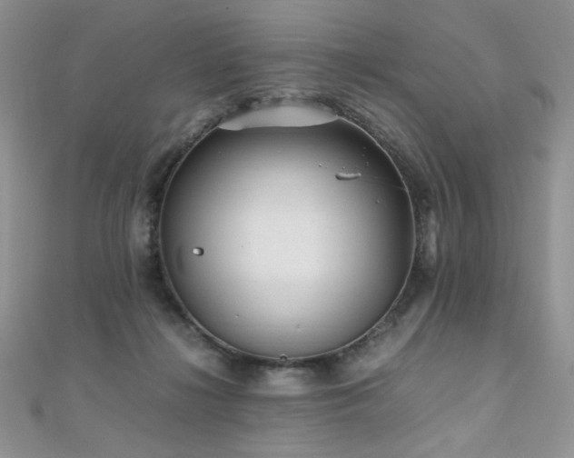 X0000110710268200906121400