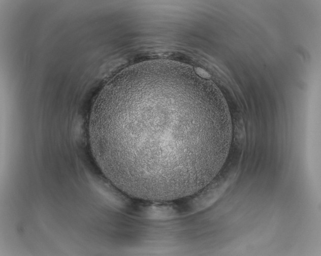 X0000110710270200906121400