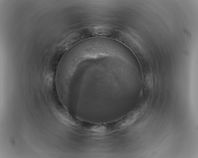 X0000110710271200906121401
