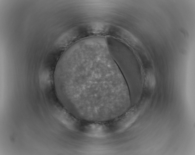 X0000110710272200906121401