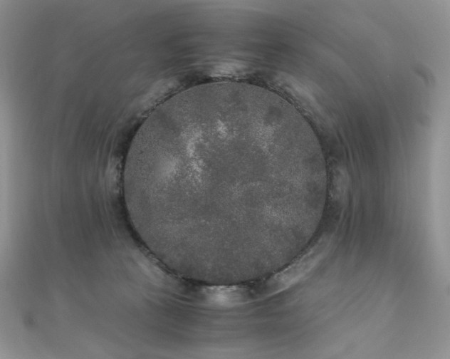 X0000110710273200906121401