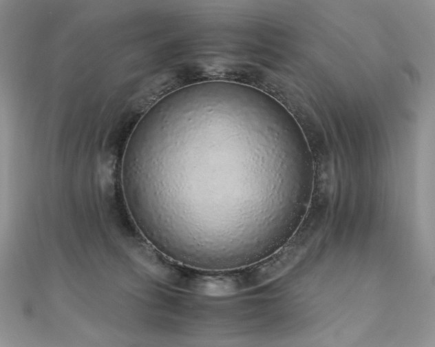 X0000110710275200906121401