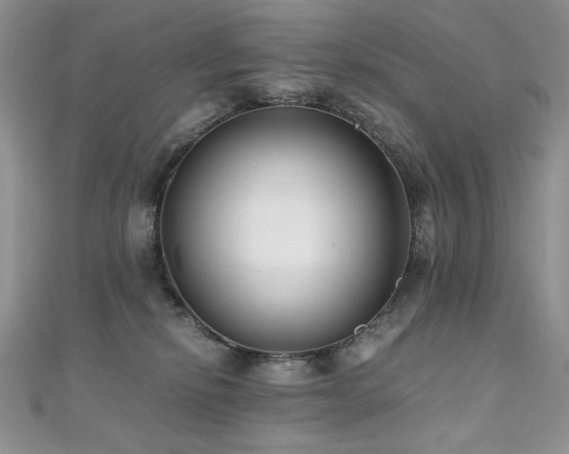 X0000110710278200906121401