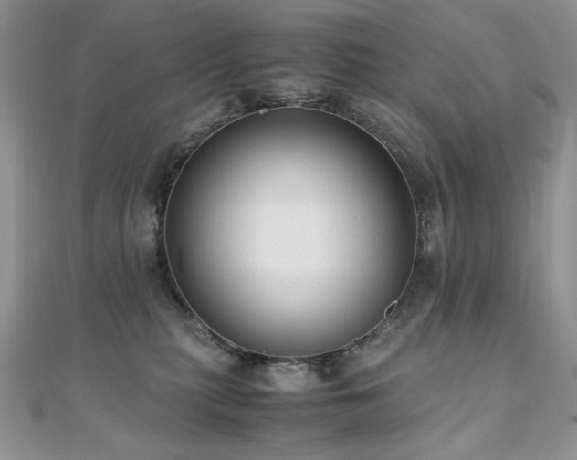X0000110710279200906121401