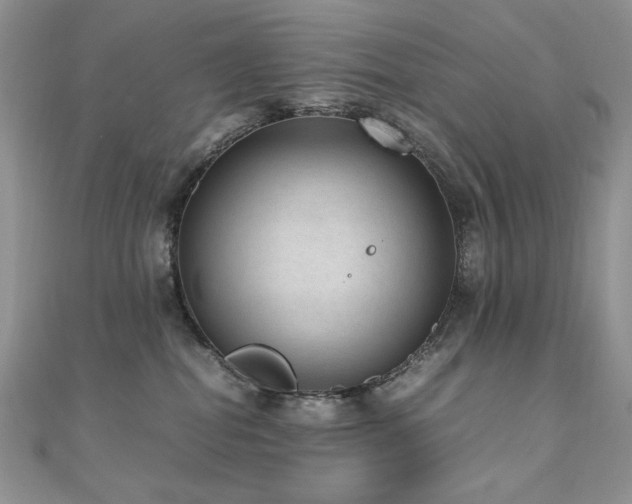 X0000110710282200906121401