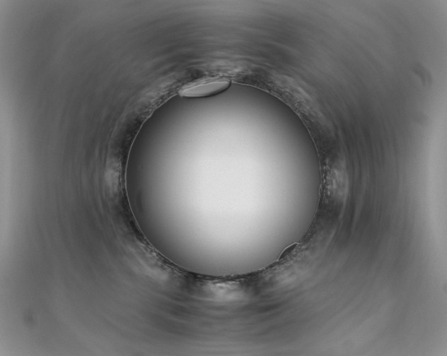 X0000110710283200906121401